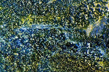 AP 146A